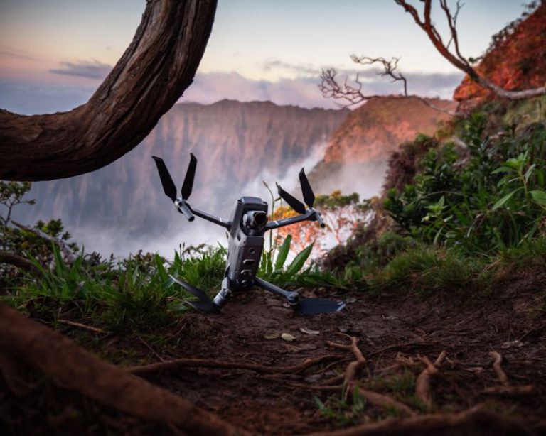 Advanced Overclocking - gray and black drone near tree roots