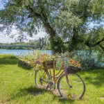 Animation Workstation - a bike with a basket of flowers on the back