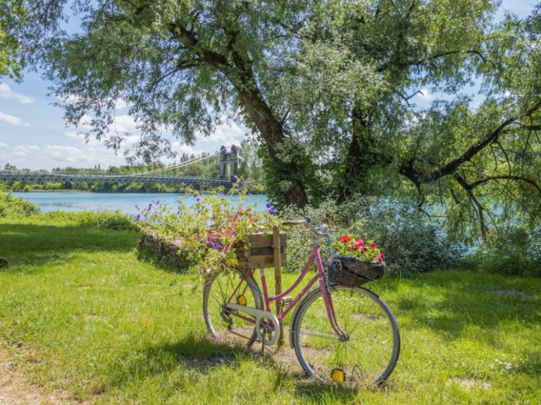 Animation Workstation - a bike with a basket of flowers on the back