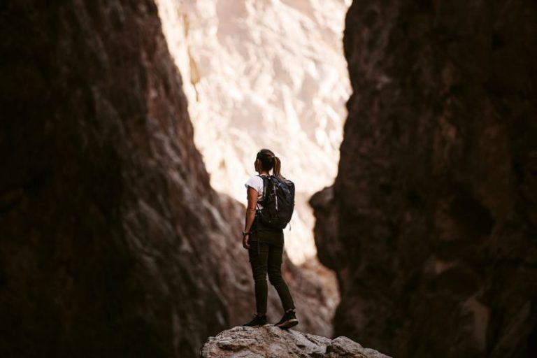 VR Ready Check - a person standing on a rock in a canyon