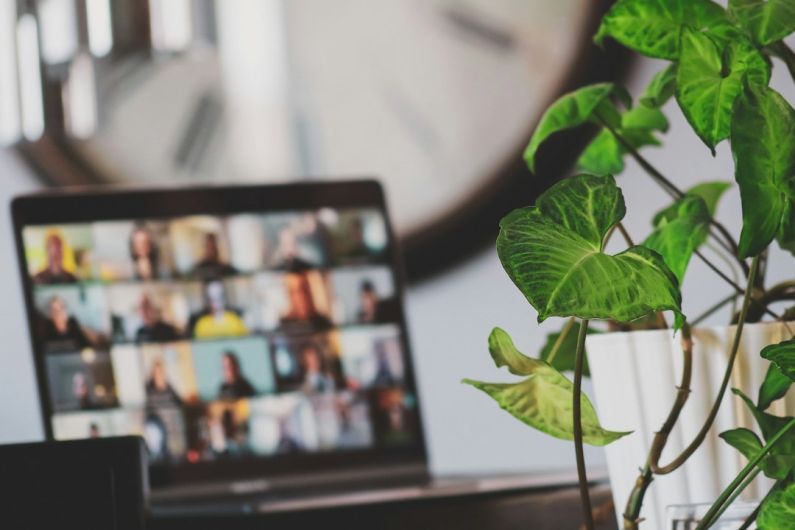 TV As Monitor - black flat screen tv turned on near green plant