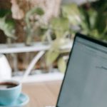 Remote Desktop - Crop anonymous freelancer browsing modern netbook while sitting at table in light room with many green potted plants at home